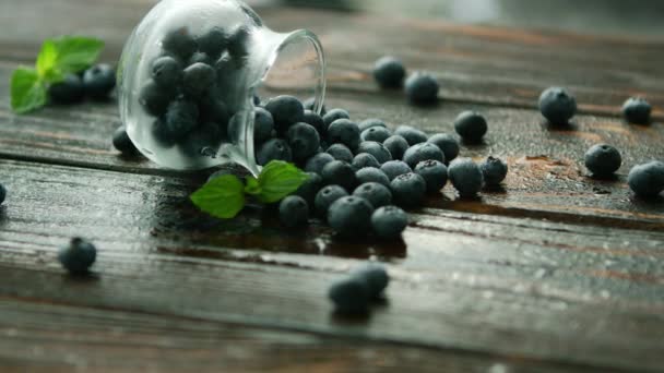 Blueberry verstrooiing van glazen kan — Stockvideo