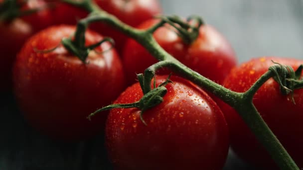 Tomates rojos cereza maduros en rama — Vídeos de Stock