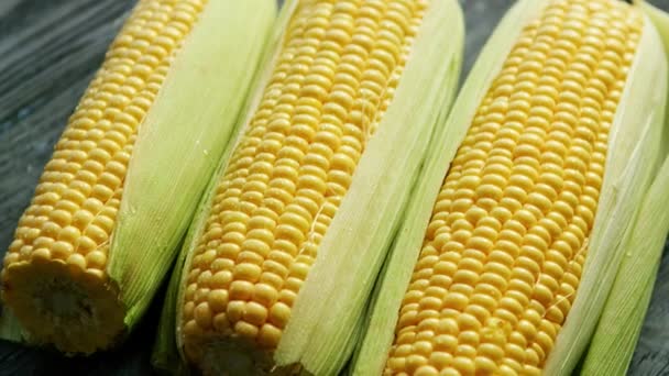 Färsk majs i bladen — Stockvideo