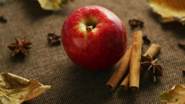 Спелое яблоко с ароматическими специями — стоковое видео