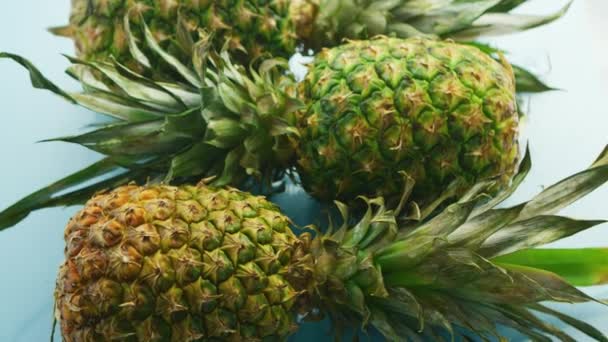 Whole pineapples on blue background — Stock Video