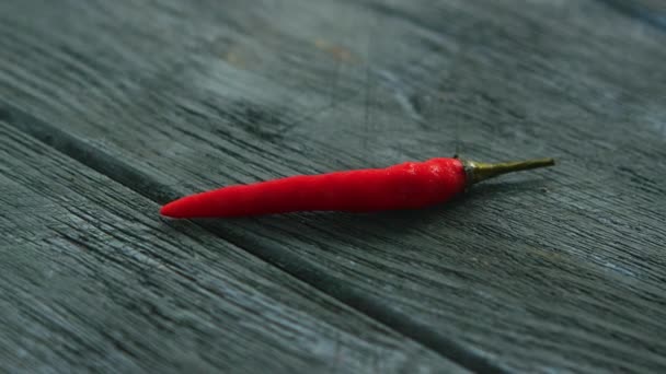 Single red chili pepper on table — Stock Video