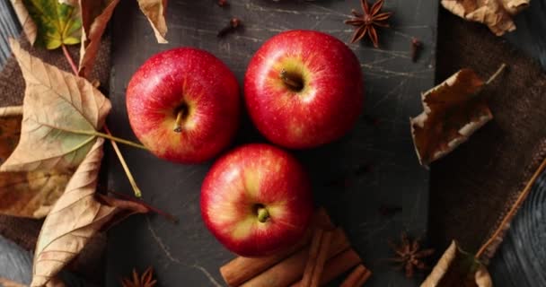 Maçãs maduras e paus de canela — Vídeo de Stock