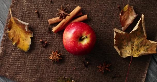 Zralé jablko s spadané listí a koření — Stock video