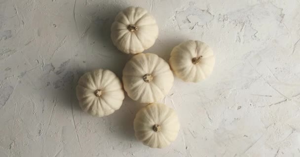 Calabazas blancas maduras puestas juntas — Vídeos de Stock