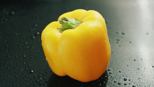 Single yellow bell pepper — Stock Video