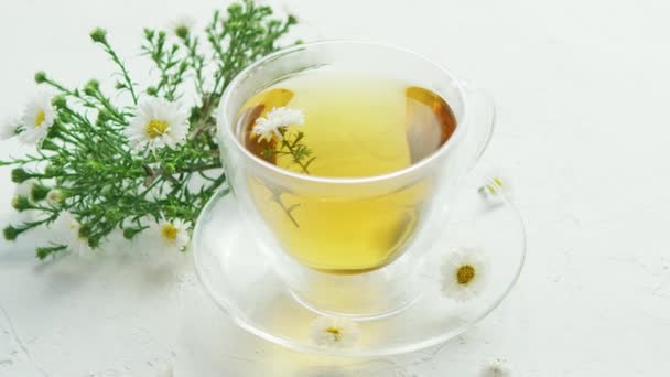 Üveg csésze gyógynövény tea — Stock videók