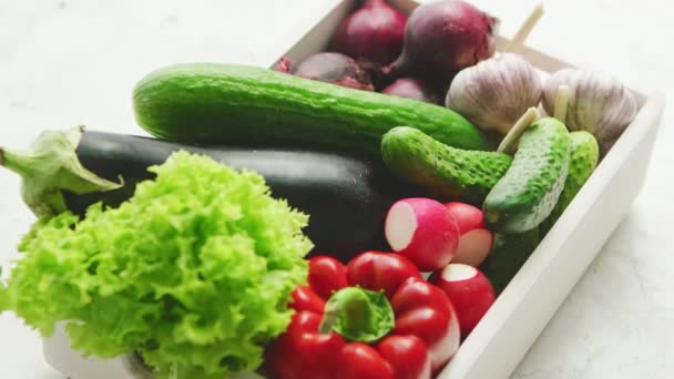 Behälter mit Gemüsesortiment — Stockvideo