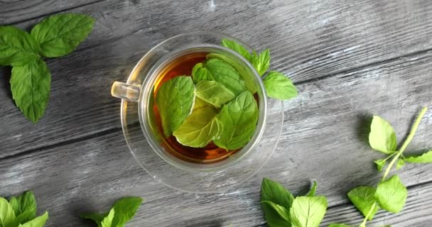 Glass of herbal tea with mint — Stock Video
