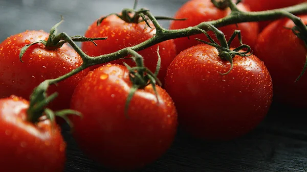 Rijpe cherry tomaten met druppels op tak — Stockfoto