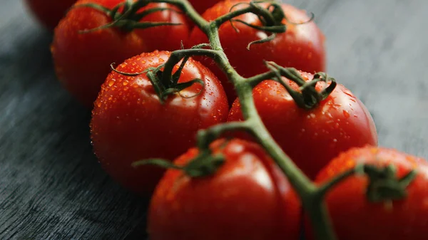 Galho com tomates vermelhos maduros — Fotografia de Stock