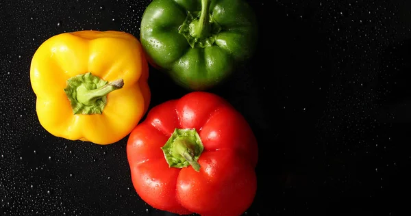 Drie kleurrijke verse pepers — Stockfoto