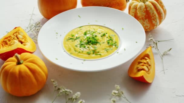 Soupe dans une assiette avec citrouilles autour — Video