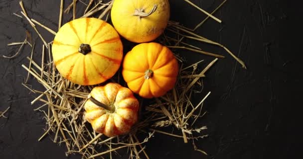 Calabazas amarillas colocadas sobre heno — Vídeos de Stock