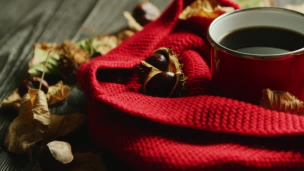 Листья и орехи возле шарфа и горячих напитков — стоковое видео