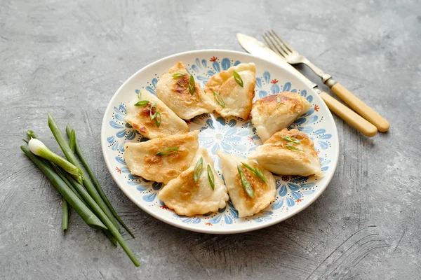 Friterade dumplings med kött — Stockfoto