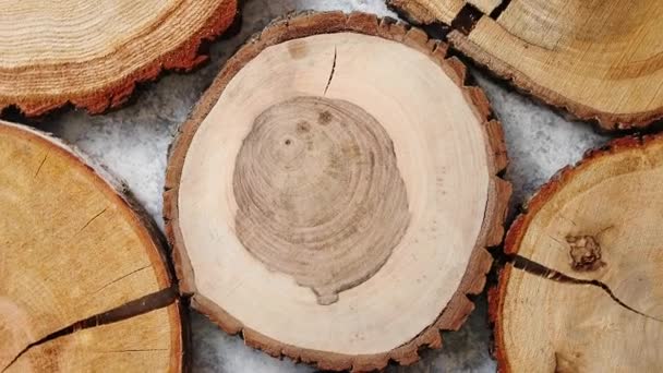 Aged, cracked, wooden, circular tree section with rings — Stock Video