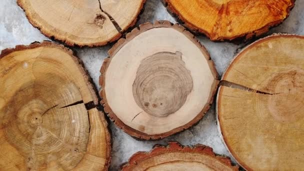 Выдержанный, потрескавшийся, деревянный, круглый участок дерева с кольцами — стоковое видео