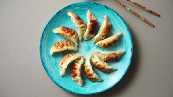 Traditionella asiatiska dumplings Gyozas på turkos keramiska platta — Stockvideo