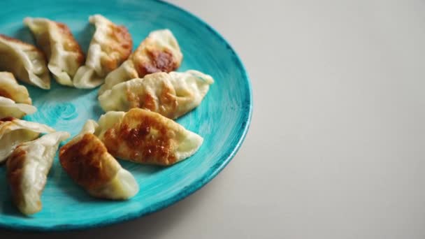 Tradiční asijské knedlíky Gyozas na tyrkysové keramické desce — Stock video