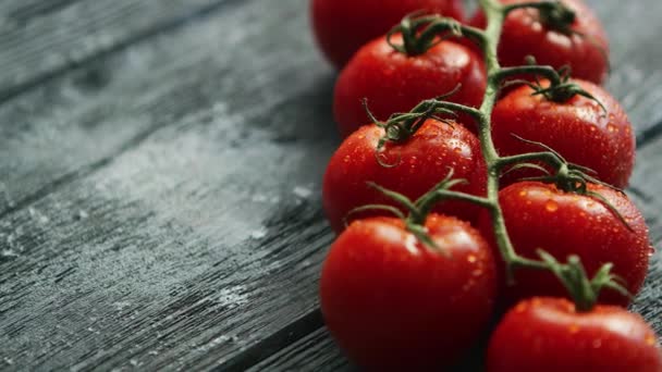 Rama con tomates cherry — Vídeos de Stock