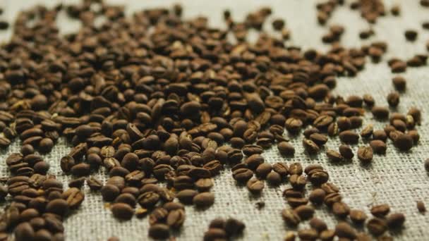 Grains de café dans le désordre — Video