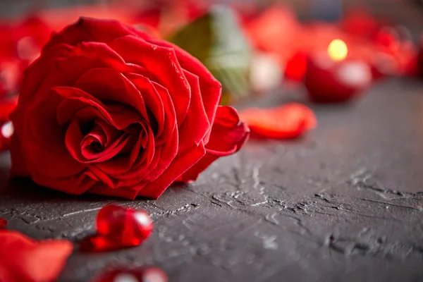 Červená růže, okvětní lístky, svíčky, datování příslušenství, zabalené dárky, srdce, flitry — Stock fotografie