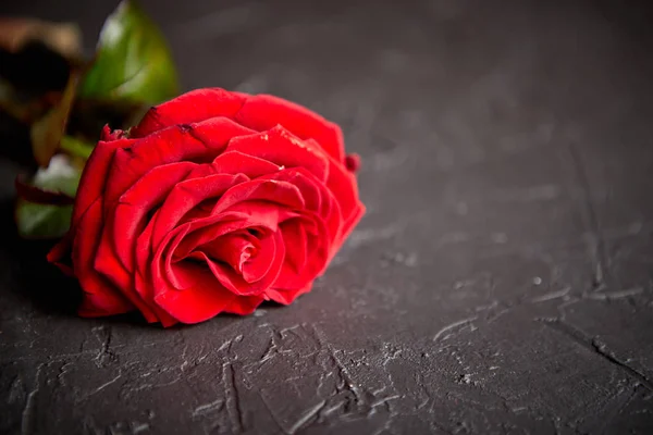 Čerstvé červené růže květ na bílý dřevěný stůl — Stock fotografie