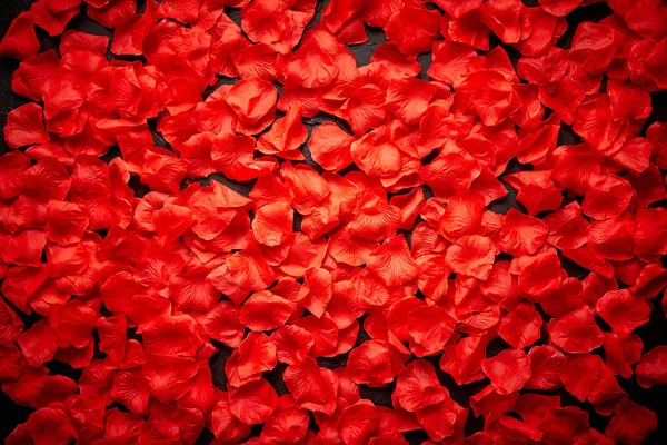 Tle piękne czerwone płatki róż. Widok z góry — Zdjęcie stockowe