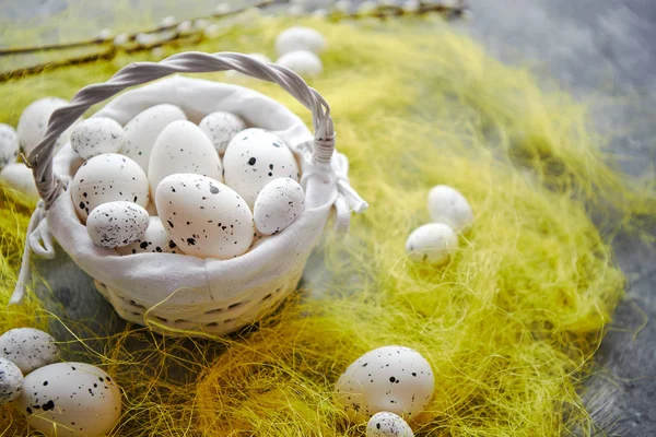 Easter vit prickig ägg i boet och våren gult gräs — Stockfoto