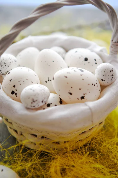 Huevos punteados blancos de Pascua en el nido y hierba amarilla de primavera —  Fotos de Stock