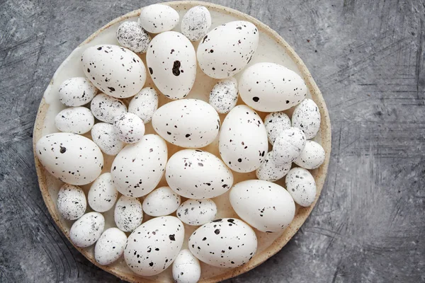 Composition des œufs de Pâques traditionnels en blanc pointillé dans une assiette en céramique blanche — Photo