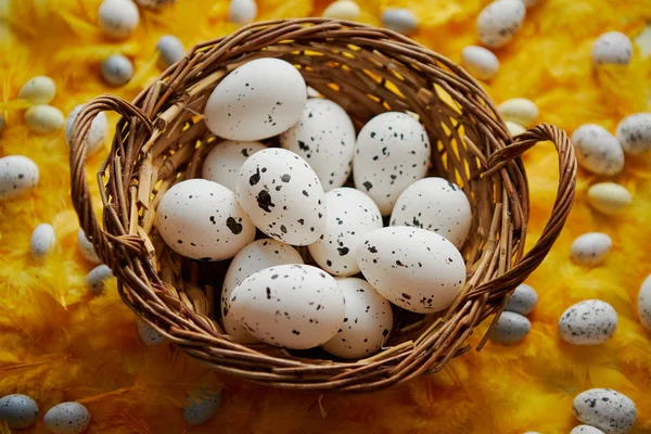 Påsk semester koncept. Vita prickade kyckling ägg i flätade — Stockfoto