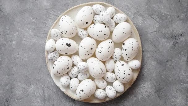 Composition of white traditional dotted Easter eggs in white ceramic plate — Stock Video