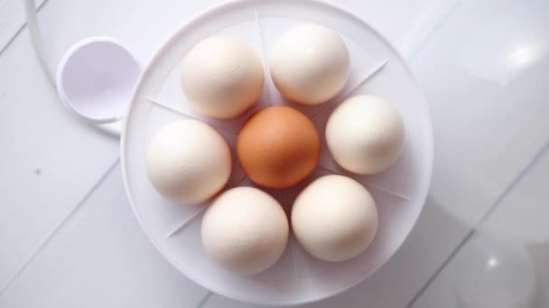 Kippeneieren in een elektrische eierkoker op een witte houten tafel — Stockvideo