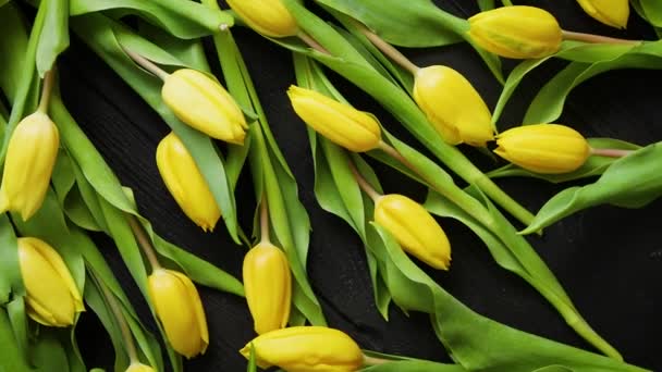 Tulipanes amarillos colocados sobre mesa negra. Vista superior con plano — Vídeo de stock