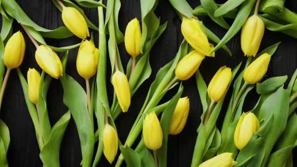 Gele tulpen op zwarte tafel geplaatst. Bovenaanzicht met plat lag — Stockvideo