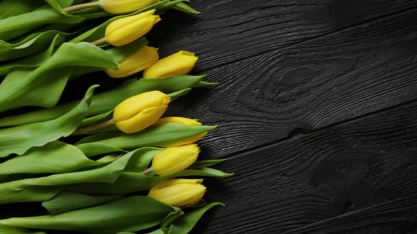 Kompozycja świeżych żółte tulipany umieszczone w rzędzie na rustykalny czarny drewniany stół — Wideo stockowe