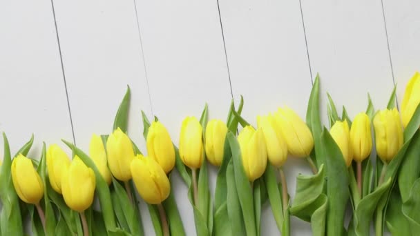 Fila de tulipanes amarillos frescos sobre mesa de madera blanca — Vídeo de stock