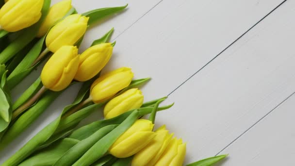 Fila de tulipanes amarillos frescos sobre mesa de madera blanca — Vídeo de stock