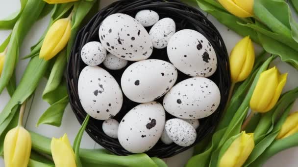 Tulipas amarelas bonitas com codorniz pontilhada e ovos de galinha no ninho no branco — Vídeo de Stock