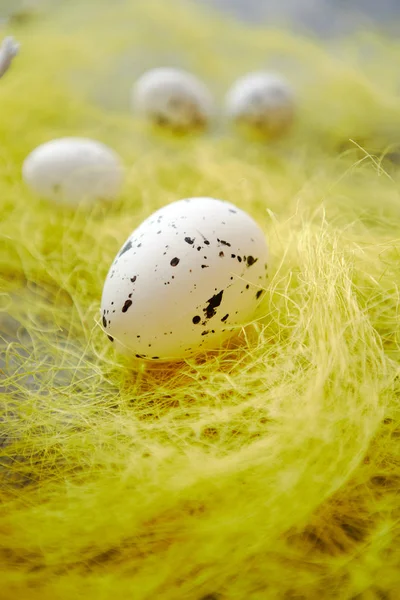 Weiße Ostereier mit Sommersprossen auf dem gelben Heu. — Stockfoto