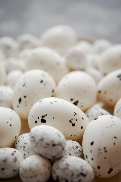 Composition en gros plan du poulet et de la caille traditionnels blancs, oeufs de Pâques en pointillés noirs — Photo