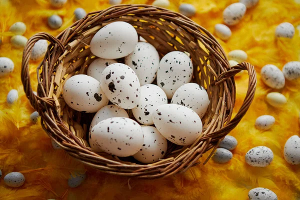 Pasen feestdagen concept. Witte gestippelde kippeneieren in de rieten — Stockfoto