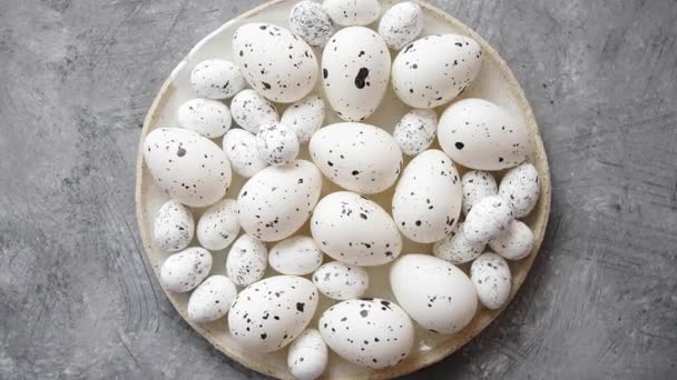 Composition des œufs de Pâques traditionnels en blanc pointillé dans une assiette en céramique blanche — Video