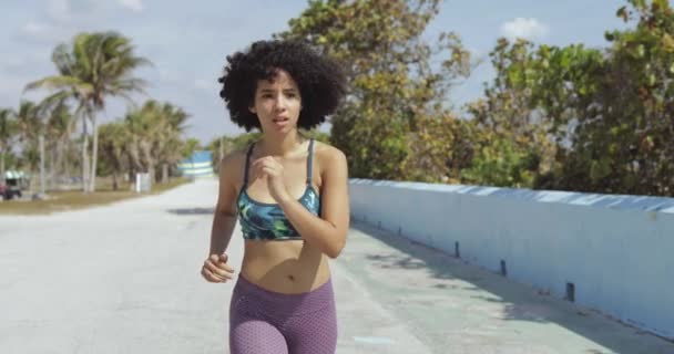 Black fit girl jogging on tropical waterfront Royalty Free Stock Footage