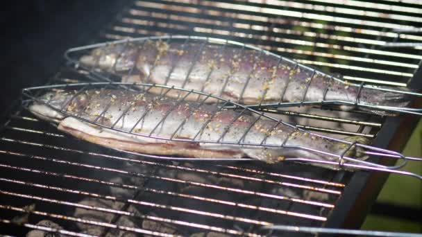 Savoureux poissons entiers placés sur le barbecue grill — Video