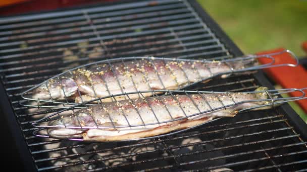 Sabrosos peces enteros colocados en la parrilla barbacoa — Vídeo de stock