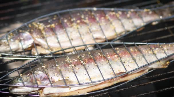 Savoureux poissons entiers placés sur le barbecue grill — Video