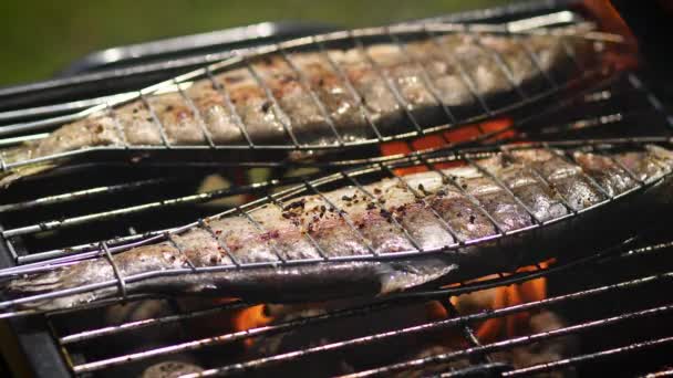 Смачні цілі риби поміщають на гриль для барбекю — стокове відео